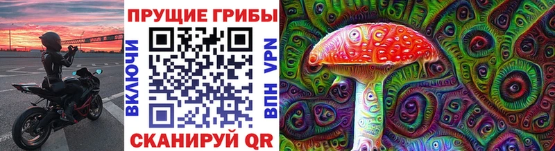 Галлюциногенные грибы Magic Shrooms  где купить   Рассказово 